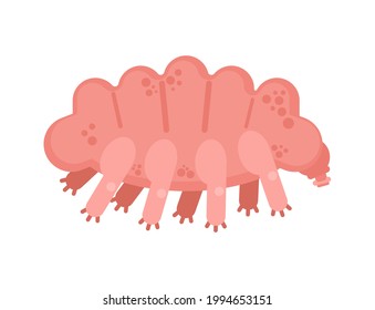 Tardigrada type of microscopic invertebrate. vector illustration