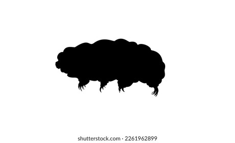 Tardigrade silhouette, water bears , moss piglets, slow walker