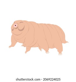 Tardigrade, Tardigrada Macrobiotus sapiens is also known as water bear or moss piglet. It is a microscopic eight-legged animal that have been to outer space