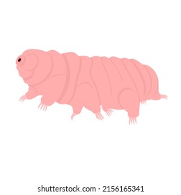 Tardigrade or water bear. Eight-legged microscopic invertebrate. Cartoon vector illustration.