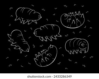 Tardigrades on a black background. Vector doodle illustration.