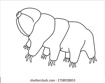 Tardigrades - vector linear picture for coloring with a microscopic animal. Tardigrades or small water bears are very small invertebrates. Eutardigrada. Outline. Hand drawing.