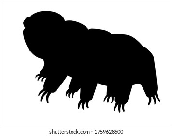 Tardigrades is a vector silhouette picture for a logo or sign with a microscopic animal. The silhouette of Tardigrades or a small water bear is a very small invertebrate. Eutardigrada.