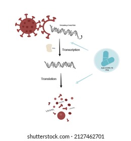 Zielweg der Behandlung mit Anti-COVID-19 (SARS-CoV-2) Arzneimittel zur Inhibierung einer Virusinfektion oder Coronavirus-2019-Krankheit (COVID-19)