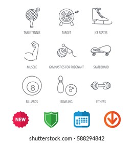 Target, table tennis and fitness sport icons. Skateboard, muscle and bowling linear signs. Ice skates, billiards and gymnastics icons. New tag, shield and calendar web icons. Download arrow. Vector