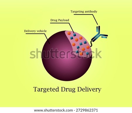 Targeted drug delivery using antibodies as targeting ligands is a key strategy in nanomedicine to enhance specificity toward diseased tissues or cells. By exploiting the high affinity and selectivity of antibodies for disease-associated antigens, this approach enables preferential accumulation of therapeutic agents at the target site, thereby improving therapeutic efficacy while minimizing off-target effects and systemic toxicity
