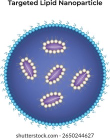 Ilustração de vetor de design de nanopartículas lipídicas direcionadas