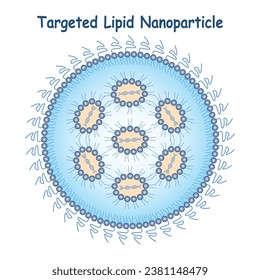 Targeted Lipid Nanoparticle Science Design Vector Design Illustration