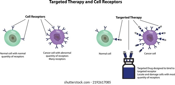 Targeted Therapy And Cell Receptor Applied To The Cancer Cell And Normal Cells. Target Drug Illustration, Vector Image