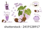 Taro Delights: Bubble Tea, Smoothie, and Ice Cream Vector Illustration Set isolated flat EPS file for design