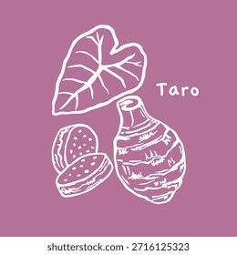 Taro Ilustración vectorial dibujada a mano, para embalaje de productos naturales	