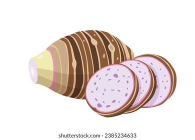 taro isolated on white background.vector cartoon style