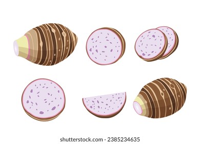 taro isolated on white background.vector cartoon style