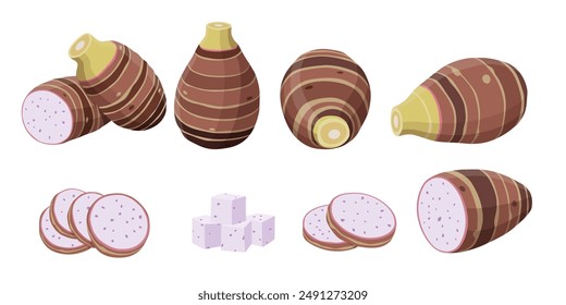 taro isolated on white background.vector cartoon style