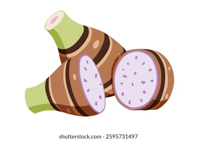 taro isolated on white background.vector cartoon style	