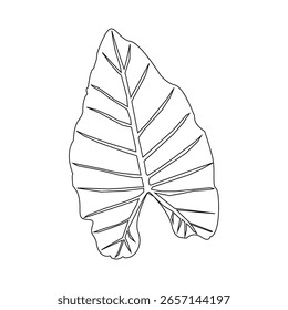 Icono de la hoja de Taro sobre fondo blanco