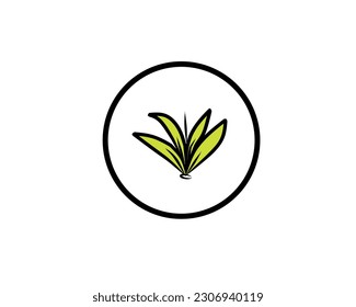 logotipo vectorial de ilustración de hoja de taro con 4 pétalos color verde amarillento