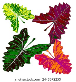 taro leaf vector suitable for background and textile decoration