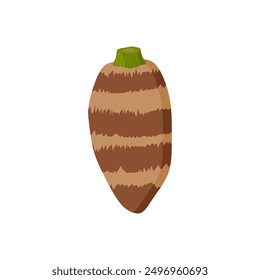 taro root flat design vector illustration isolated on white background.  malanga, colocasia esculenta, satoimo. Chinese and japanese vegetable. Asian cuisine ingredient. Healthy vegetarian food. 