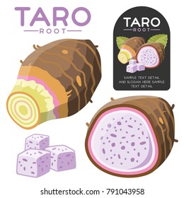 Taro Root Vector