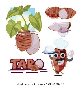 Taro Root Vector. Taro Plant. Fruit And Slice Of Taro. Typographic