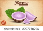 Taro Root vegetable Pieces vector illustration with Taro Root slices on brown background