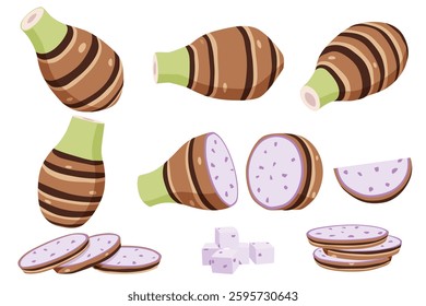 taro vector logo isolated on white background.	