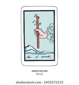 Tarot card vector deck . Minor Arcana Wands . Occult esoteric spiritual Tarot. Isolated colored hand drawn illustrations

