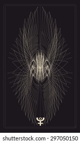 Tarot cards - back design.   Pluto, phoenix