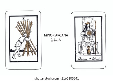 Tarot  Minor Arcana vector set wands . Hand drawn illustration