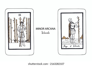 Tarot  Minor Arcana vector set wands . Hand drawn illustration