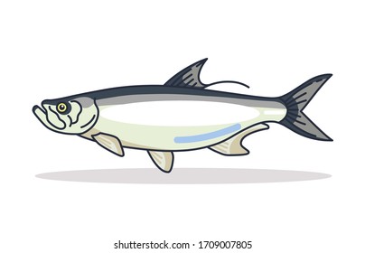 Tarpon fish design Illustration vector art