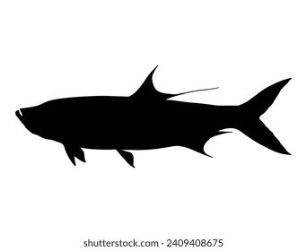 Silueta de pescado tarpon arte vectorial fondo blanco