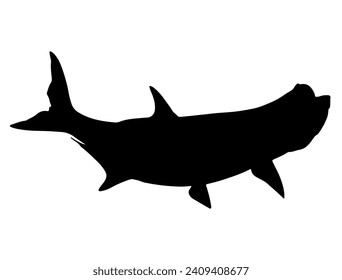 Tarpon fish silhouette vector art white background