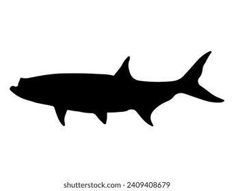 Tarpon fish silhouette vector art white background