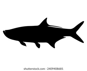 Tarpon fish silhouette vector art white background