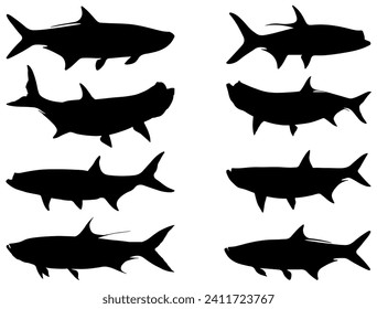 Tarpon Fish silhouette vector art white background