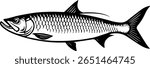 Tarpon Fish Vector – Saltwater Gamefish Illustration for Fishing Stickers, Cricut Crafts, and Coastal Apparel