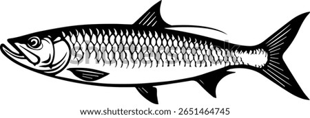 Tarpon Fish Vector – Saltwater Gamefish Illustration for Fishing Stickers, Cricut Crafts, and Coastal Apparel