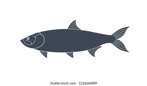 Tarpon logo. Isolated tarpon on white background