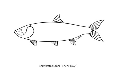 127 Tarpon Fish Symbol Images, Stock Photos & Vectors | Shutterstock