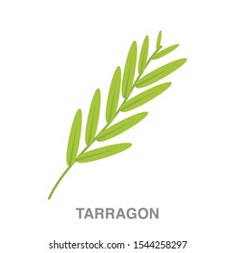 Tarragon flat icon on white transparent background. You can be used tarragon icon for several purposes.