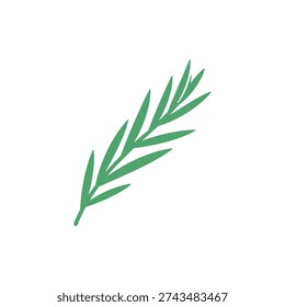 Tarragon Herb Angled Upward Sharp Leaf Tips Detailed Botanical Vector Illustration