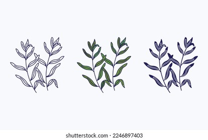 Tarragon icon ,Herbs vector illustration