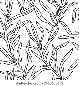 Tarragon leaf seamless pattern. Linear Floral ornament with hand drawn aromatic garden herbs, leaves outline print. Monochrome Vintage botanical vector illustration