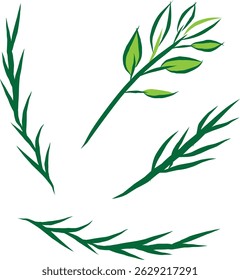 Tarragon sprigs illustration. Culinary herb design elements.