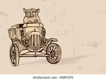 Tarsier driving an old car
