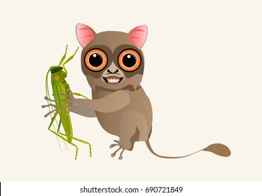 Tarsier eats grasshopper vector illustration