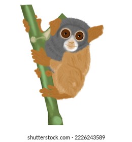 tarsier illustration with hand drawn