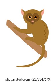 Tarsier monkey on a branch Exotic Animal. Vector illustration